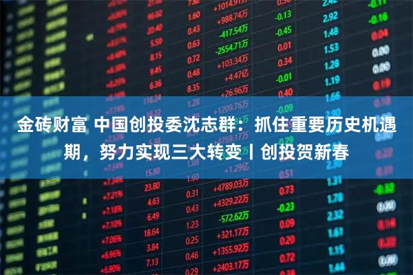 金砖财富 中国创投委沈志群：抓住重要历史机遇期，努力实现三大转变丨创投贺新春