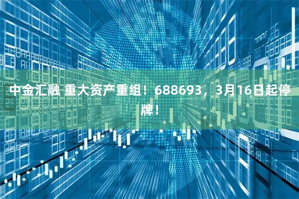 中金汇融 重大资产重组！688693，3月16日起停牌！