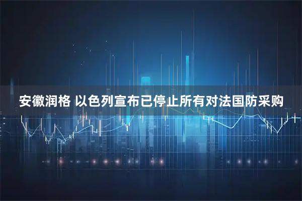 安徽润格 以色列宣布已停止所有对法国防采购