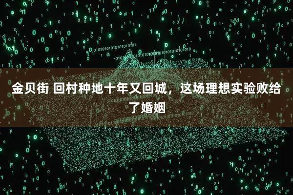 金贝街 回村种地十年又回城，这场理想实验败给了婚姻